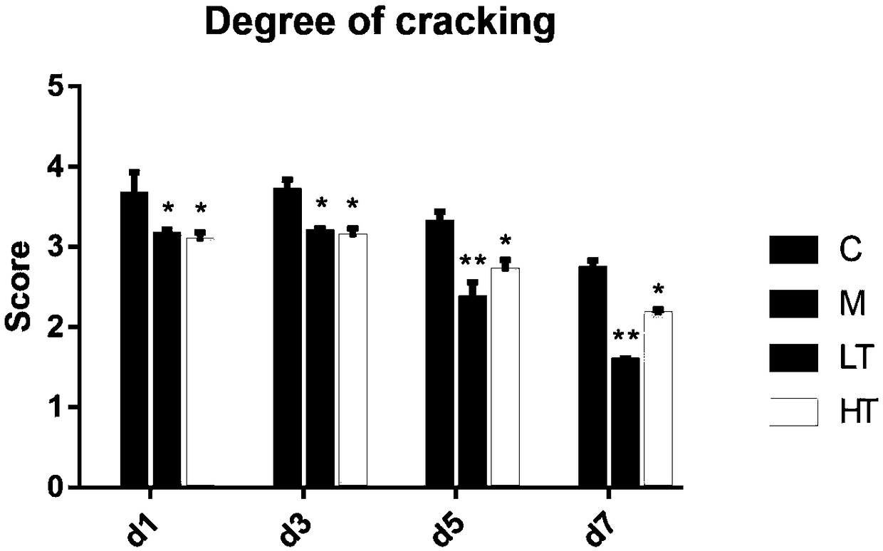 Construction of Lactobacillus curvularius ATCC55221 and application thereof in treatment of parturient nipple rhagadia