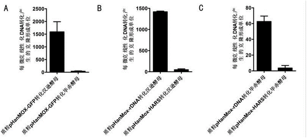 Construction and application of universal carrier for performing heterologous protein expression on pichia pastoris and hansenula polymorpha