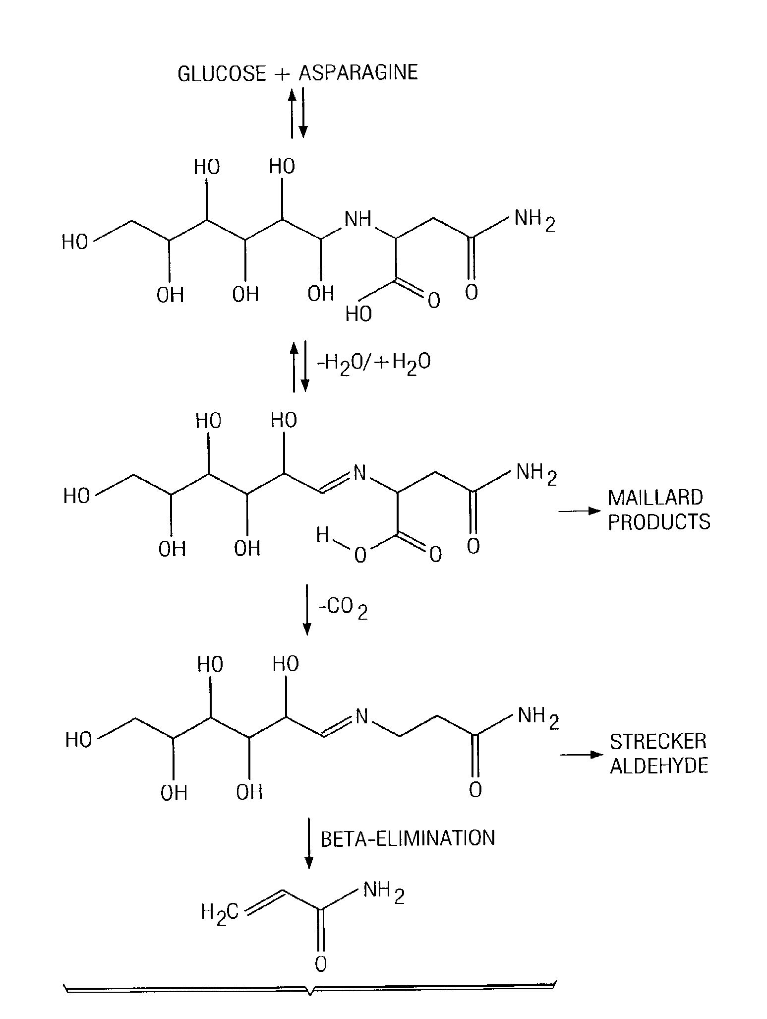 Method for Reducing Acrylamide Formation in Thermally Processed Foods