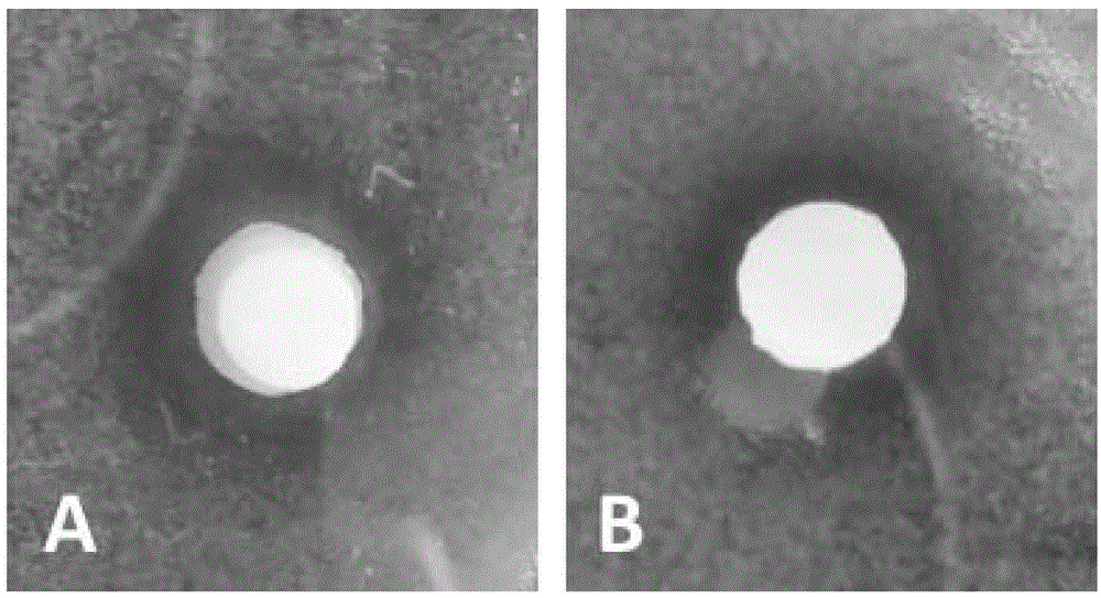 Temperature-sensitive type skin wound dressing as well as preparation method and applications thereof