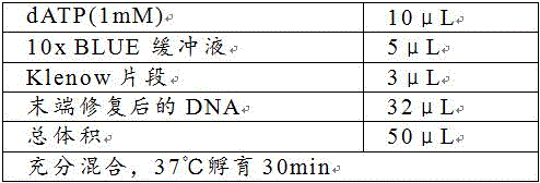 Method and system for determining nucleic acid sequence