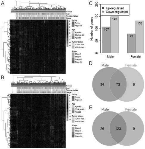 Diagnostic marker for lung adenocarcinoma based on metabolic gene profile