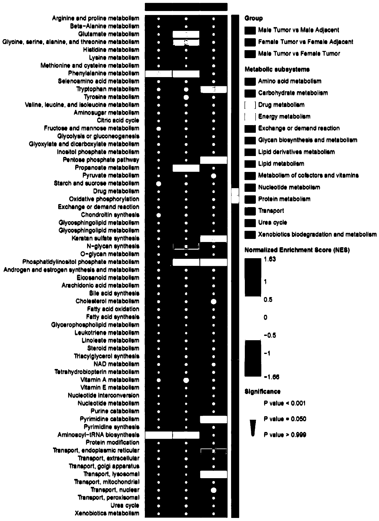 Diagnostic marker for lung adenocarcinoma based on metabolic gene profile