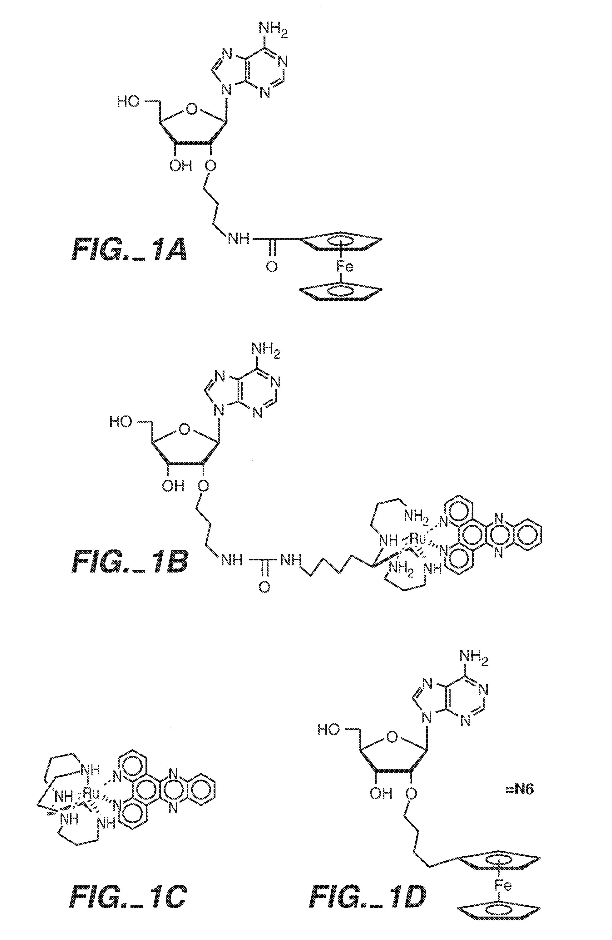 Sequence determination of nucleic acids using electronic detection