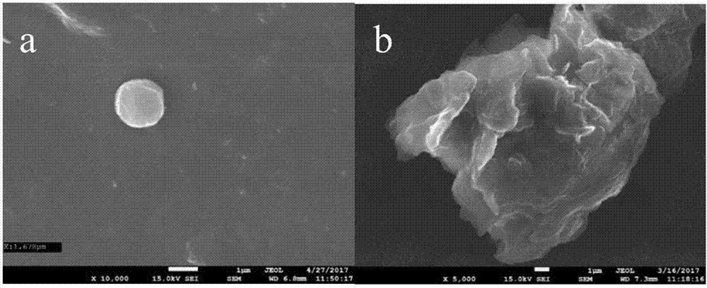 Nanostructure lipid carrier coated with sun-screening agent and preparation method and application thereof