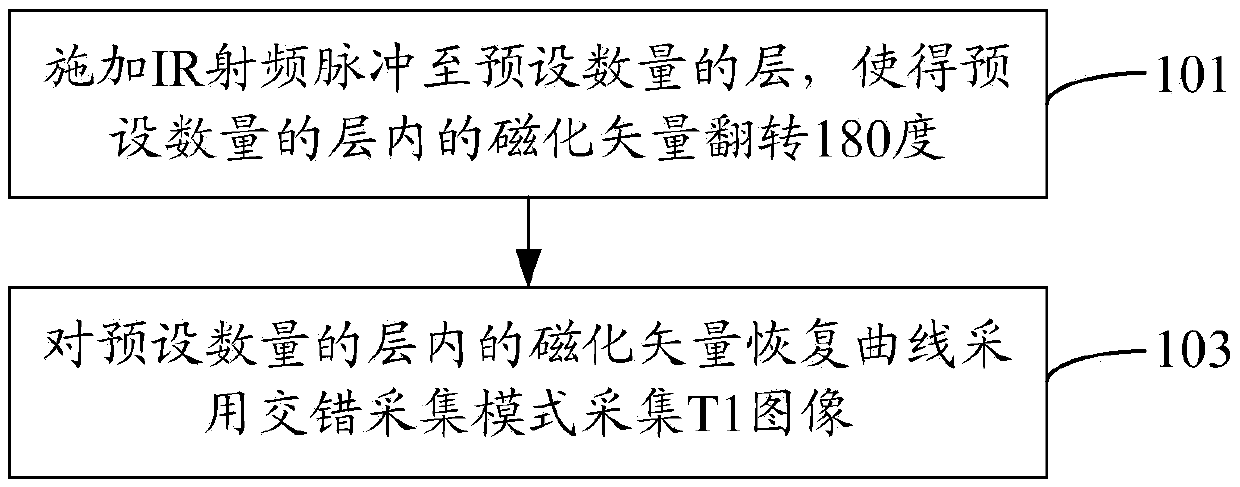 Brain longitudinal relaxation value measuring method and apparatus