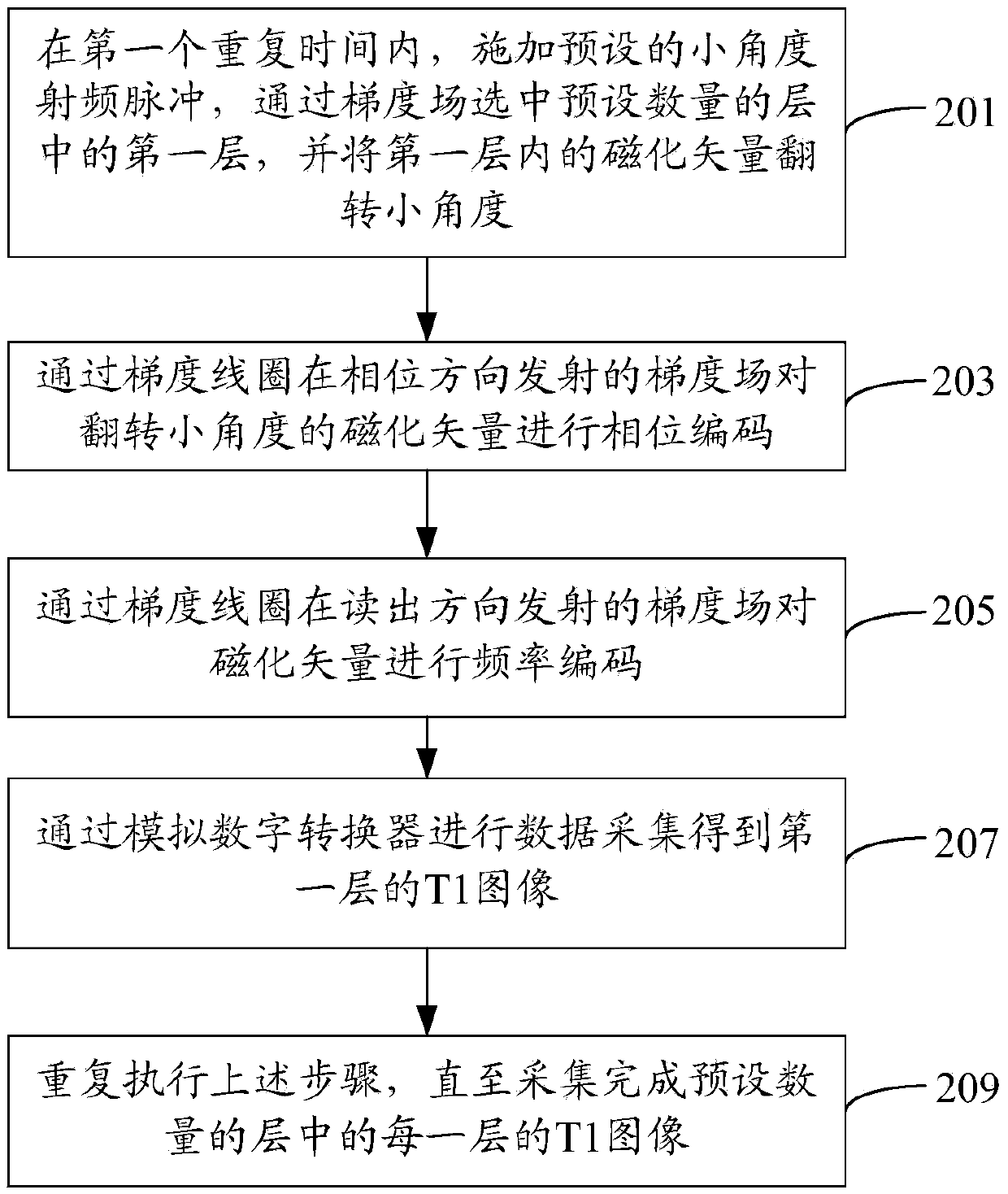 Brain longitudinal relaxation value measuring method and apparatus