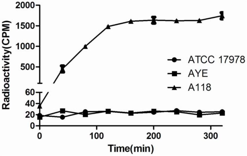 Primers, kit and method for detecting drug resistance of Acinetobacter baumannii