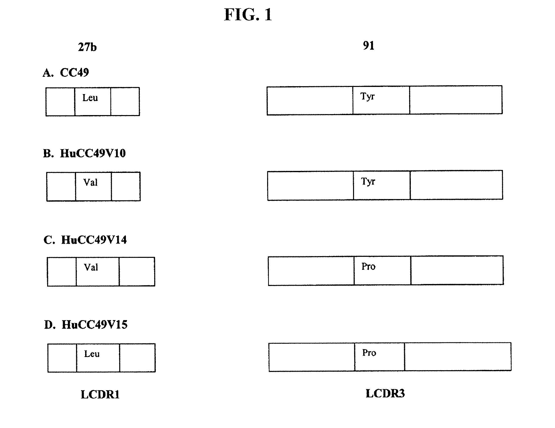 Methods to determine immunogenicity of humanized anti-tag 72 CC49 antibodies