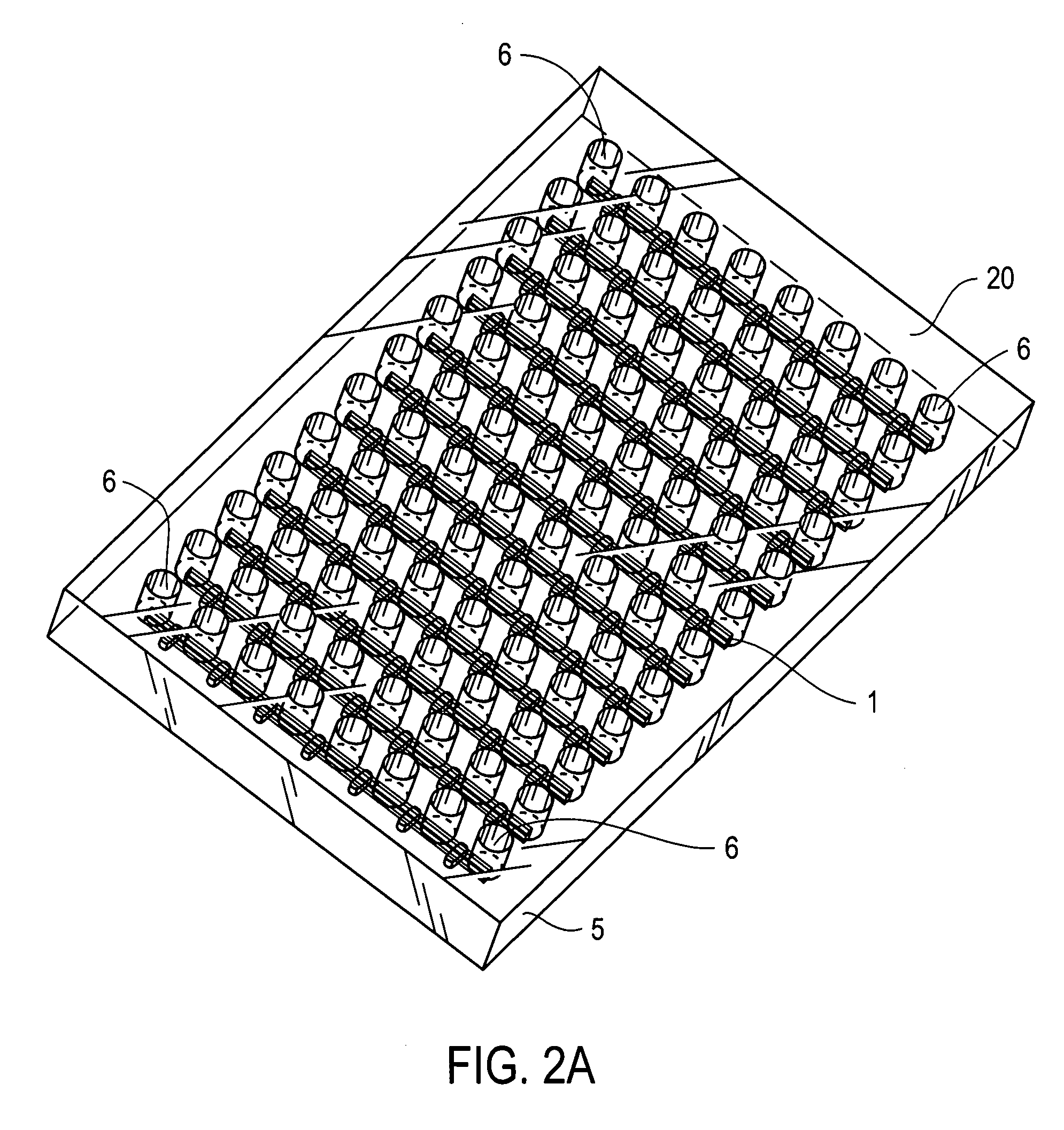 Capillary electrophoresis devices