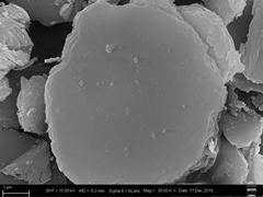 Electrochemical sensing electrode based on selenium functionalized honeycomb porous carbon nanosheet