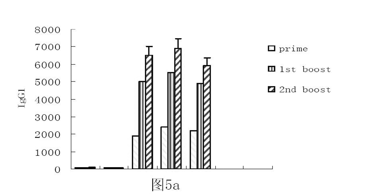 Poultry IL-2 and newcastle disease virus HN gene recombination fusion protein and application thereof