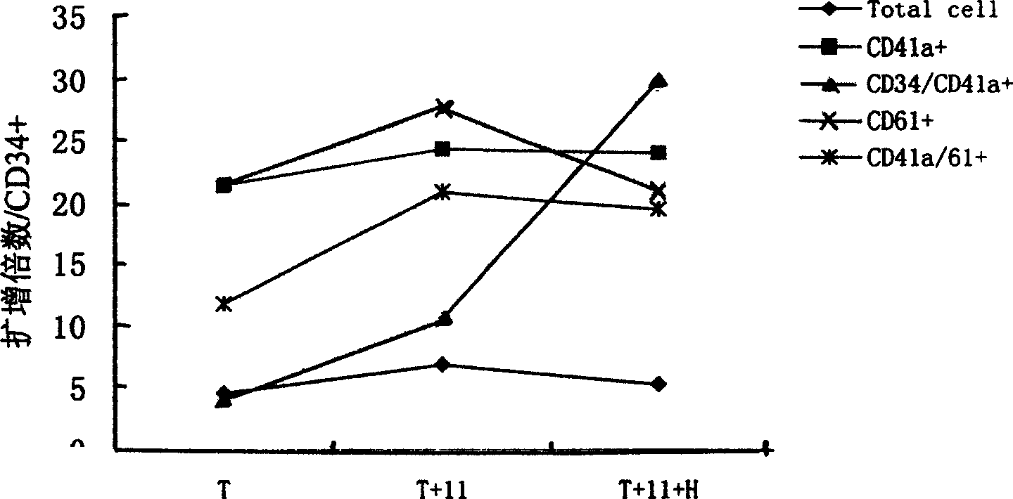 Method for preparing megakaryocytic preparation by amplifying macronucleus ancestral cell and mature megacaryocyte and use