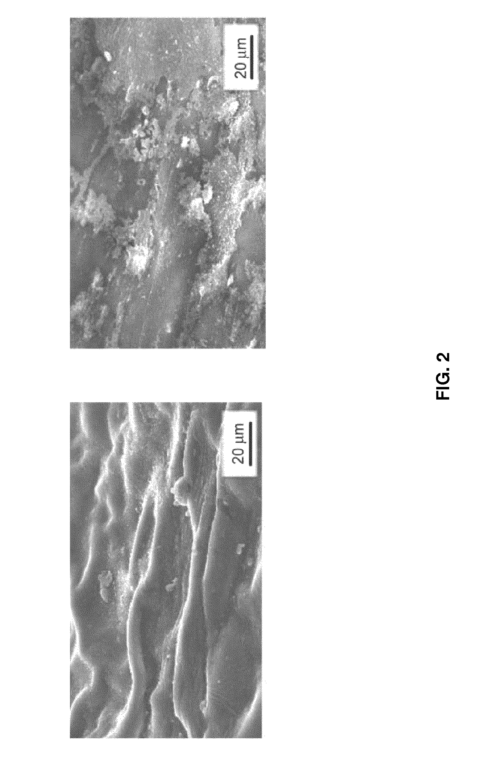 Composition of hydrophilic painted surface