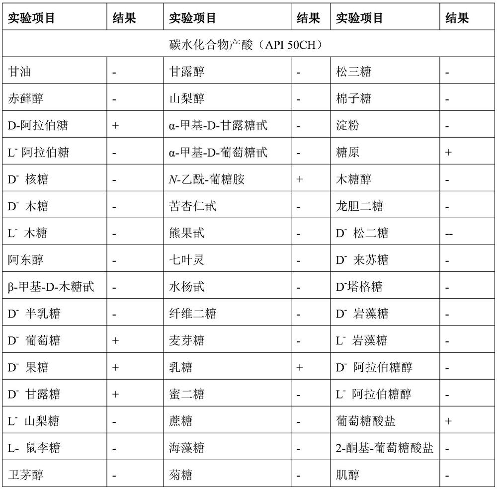 A kind of lactobacillus having the effect of preventing and treating diabetic encephalopathy and its isolation method and application