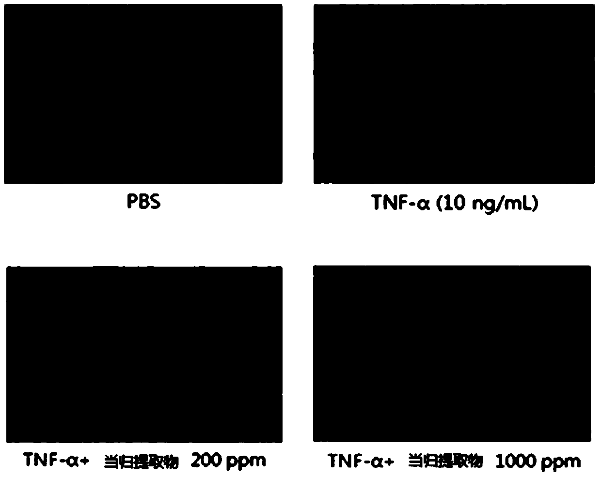 Composition containing herbal extract and makeup material composition