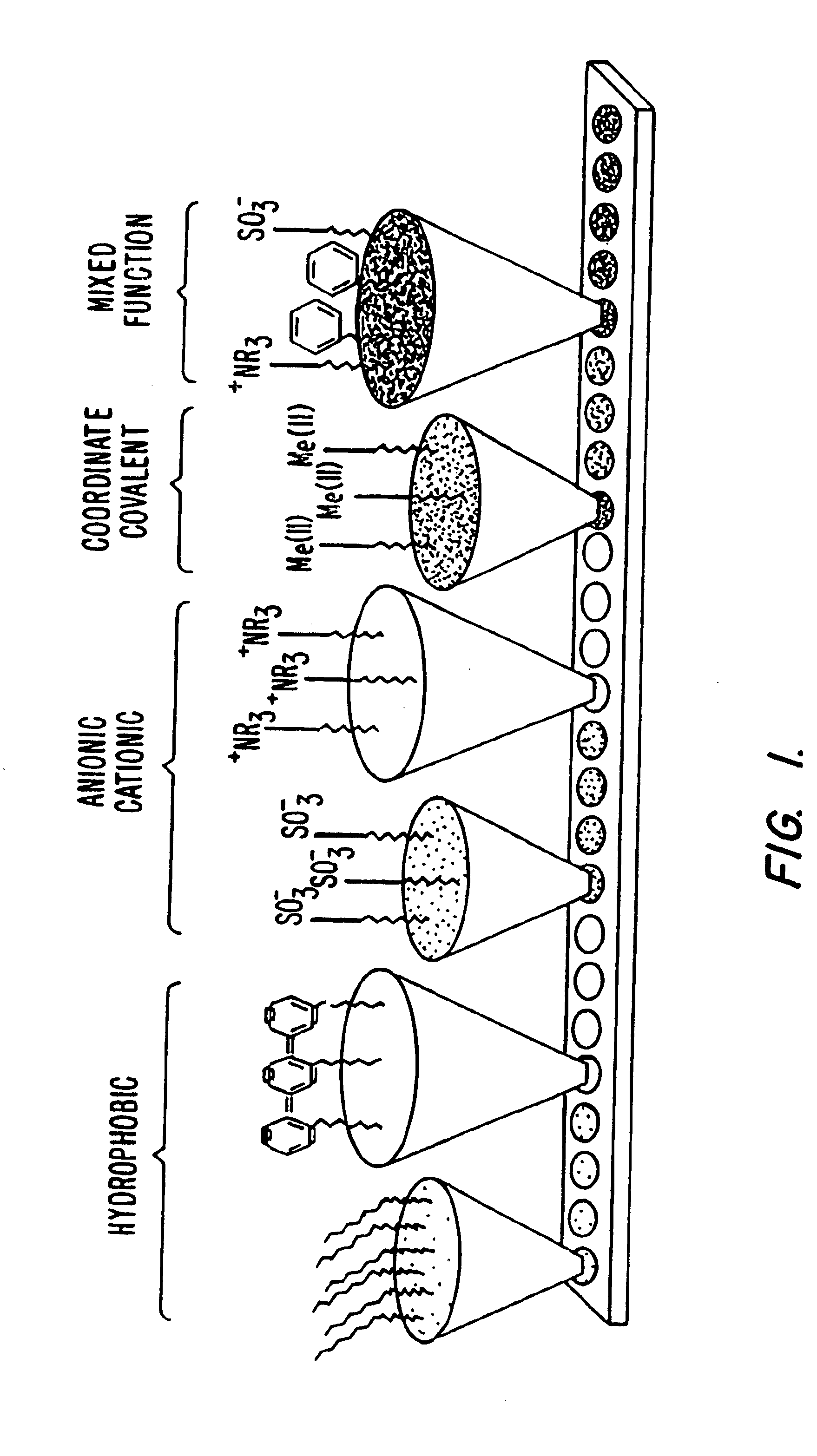 Retentate chromatography and protein chip arrays with applications in biology and medicine