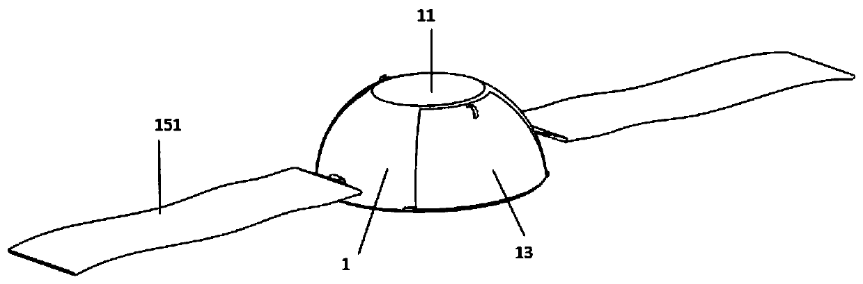 Sterile instrument for covering and observing abdominal wounds