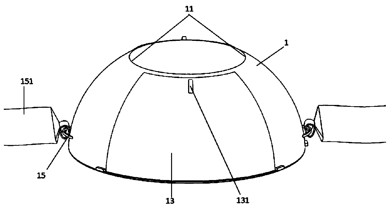 Sterile instrument for covering and observing abdominal wounds