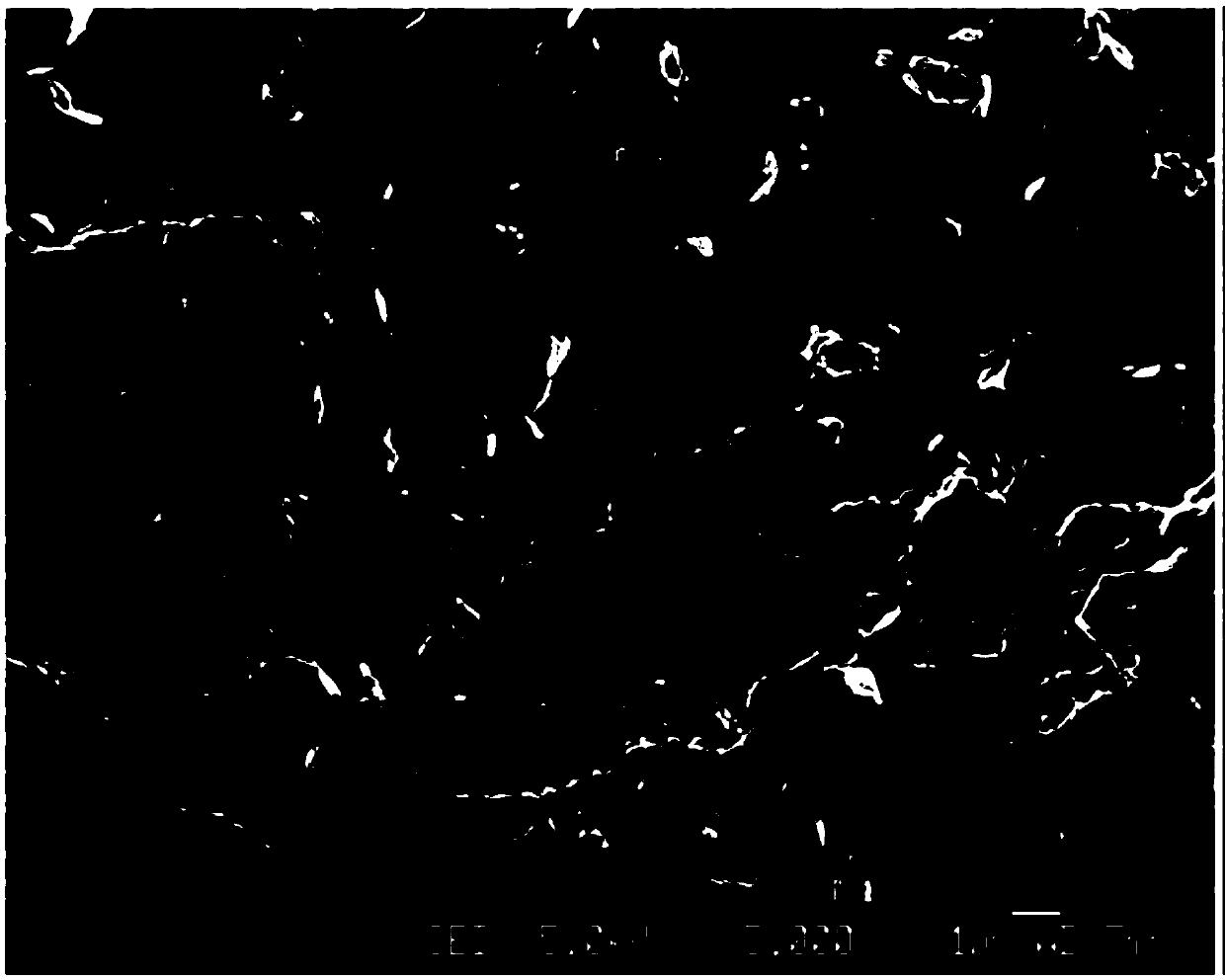 Enhancing type polyolefin/clay nanocomposite and preparing method thereof