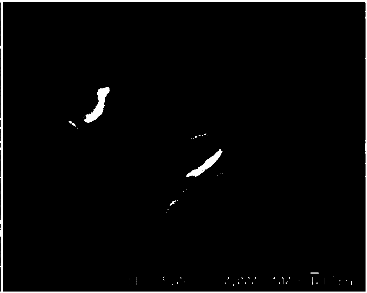 Enhancing type polyolefin/clay nanocomposite and preparing method thereof