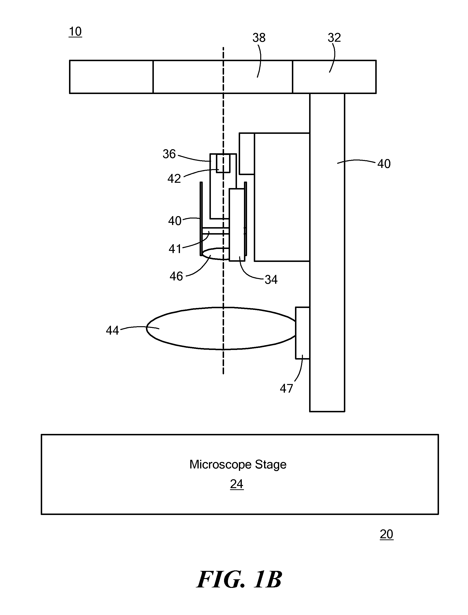 Microscope accessory and microplate apparatus for measuring phosphorescence and cellular oxygen consumption