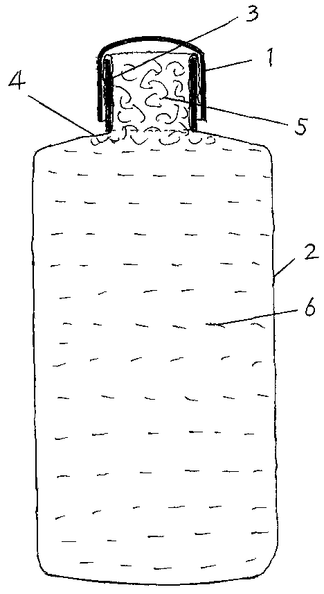 Edible fungus strain preparation method capable of preventing damp cotton plugs in strain bottles or culture bags