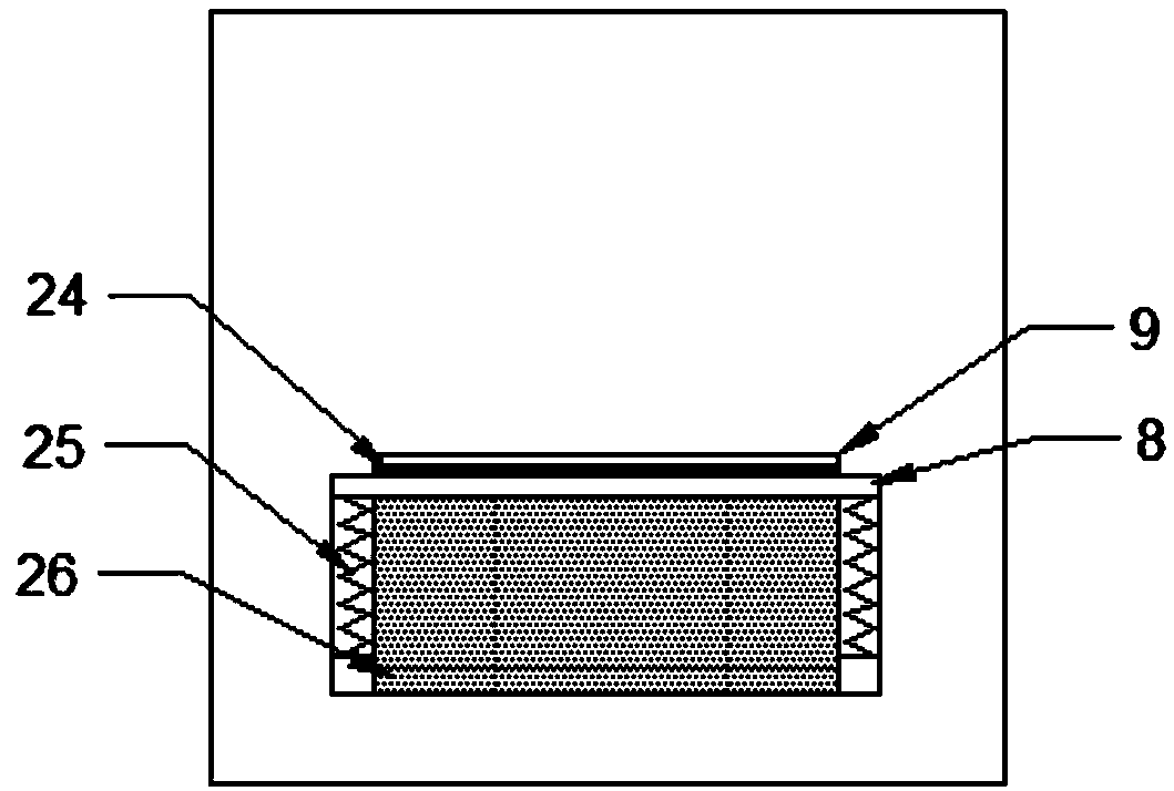 Multistage screening equipment for cherries