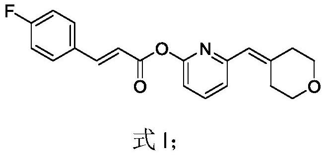 Chalcone derivative and application thereof