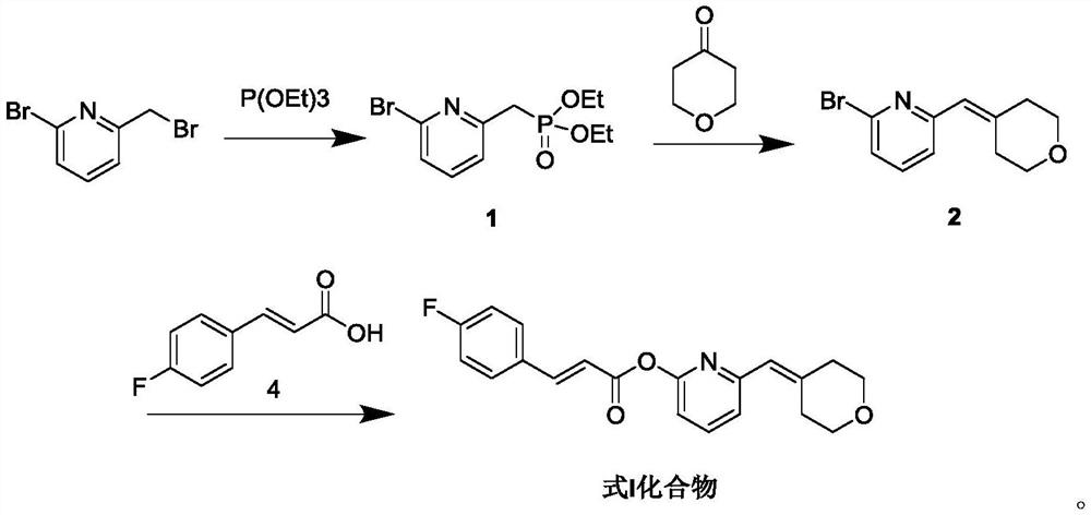 Chalcone derivative and application thereof