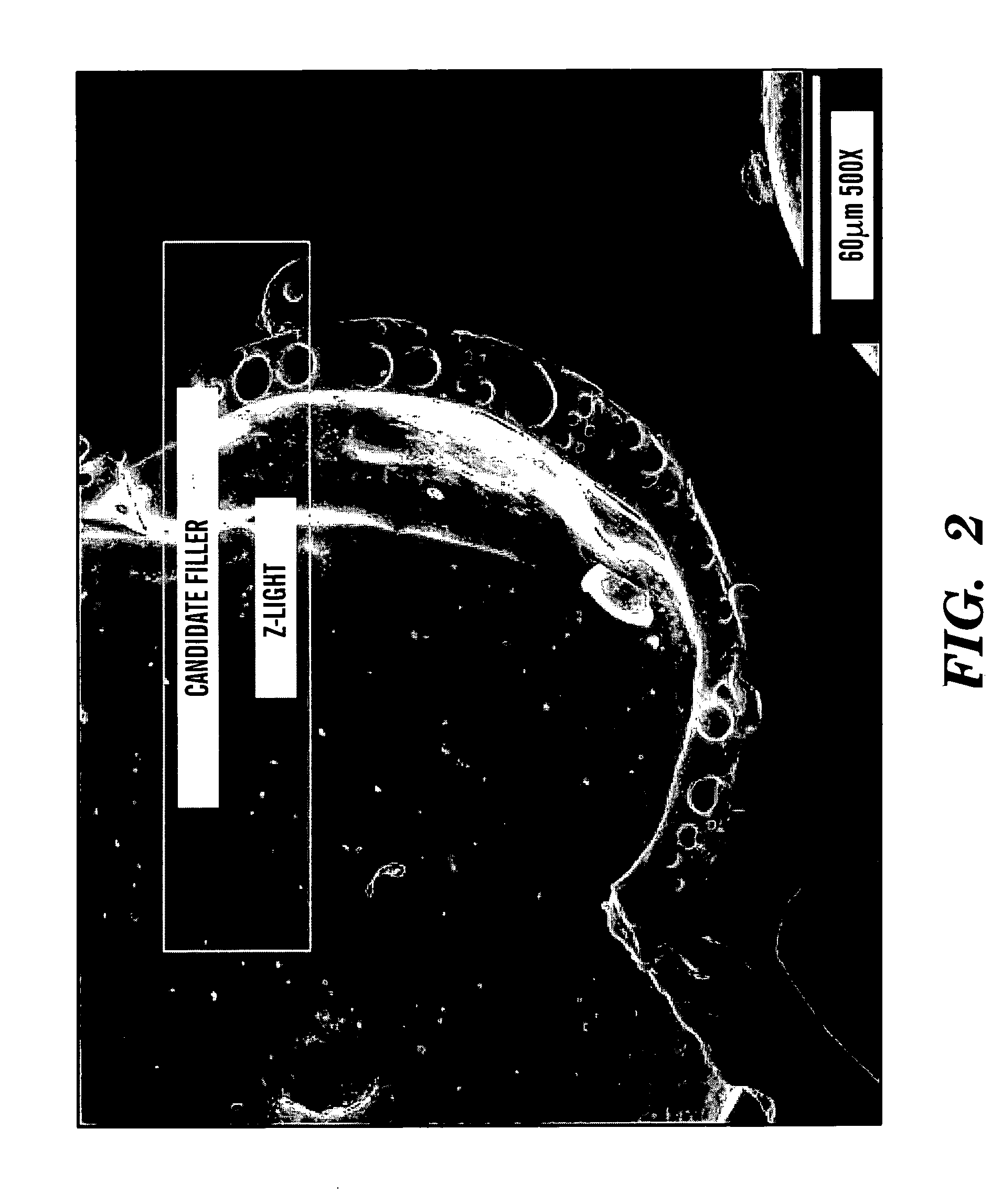Process for enhancing material properties and materials so enhanced