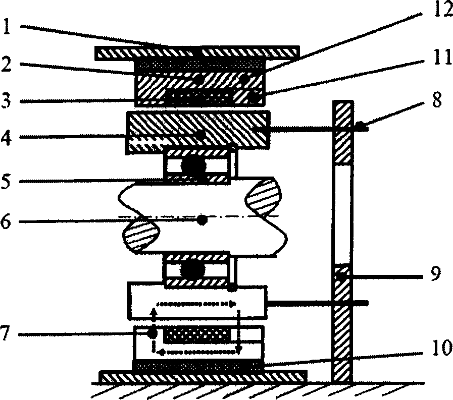 Electric eddy-current damping device for rotary machine rotor