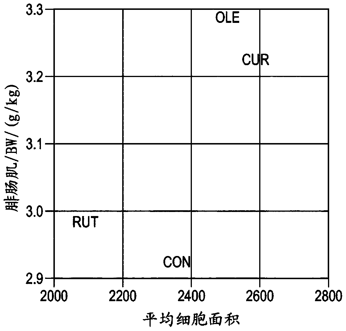 Compositions and methods using oleuropein or curcumin for muscle quality and/or muscle mass