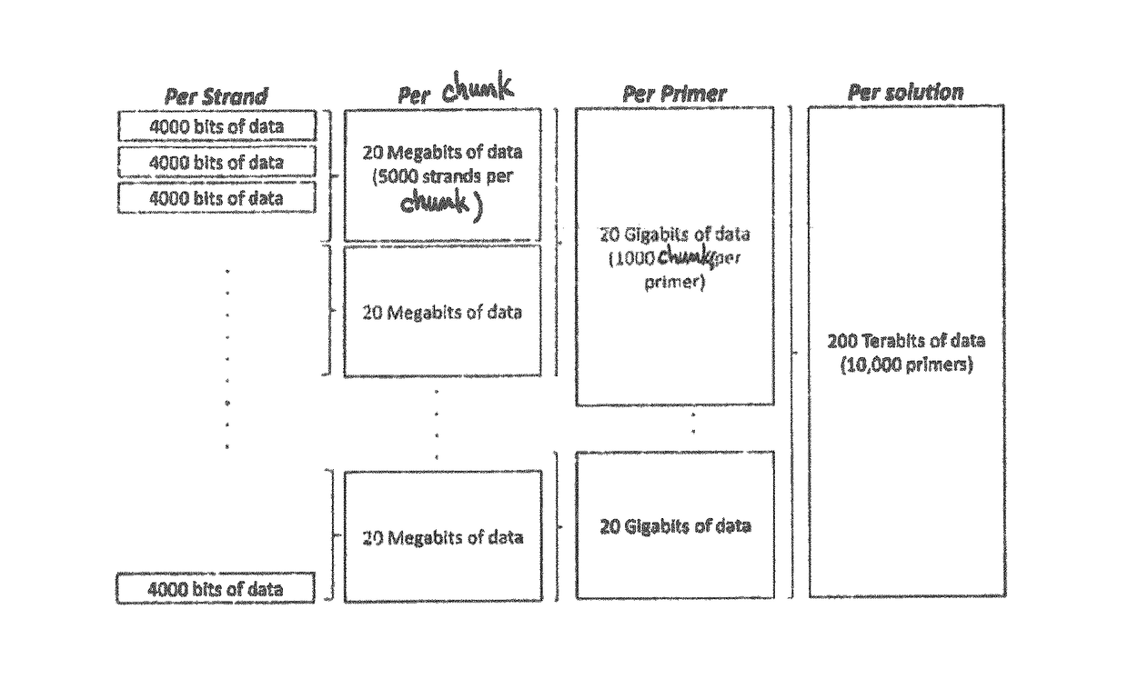 Methods for storing and reading digital data on a set of DNA strands