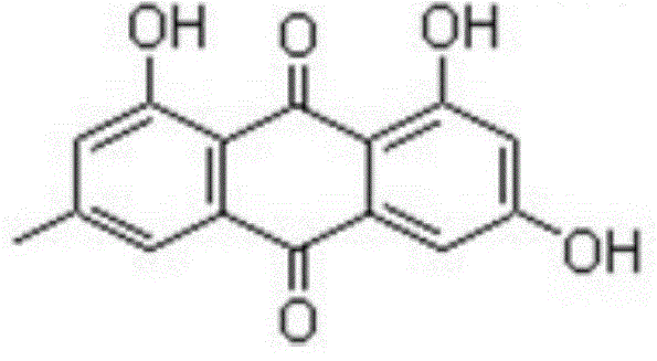 Rheum emodin complexes and preparation method and application thereof