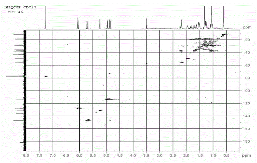 Diterpenoid compounds, and preparation method and application thereof