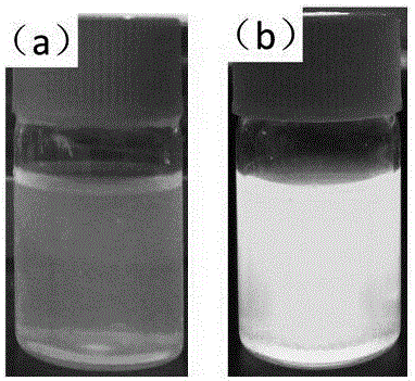 Carbon quantum dots in starch-based food and detection method and application of carbon quantum dots