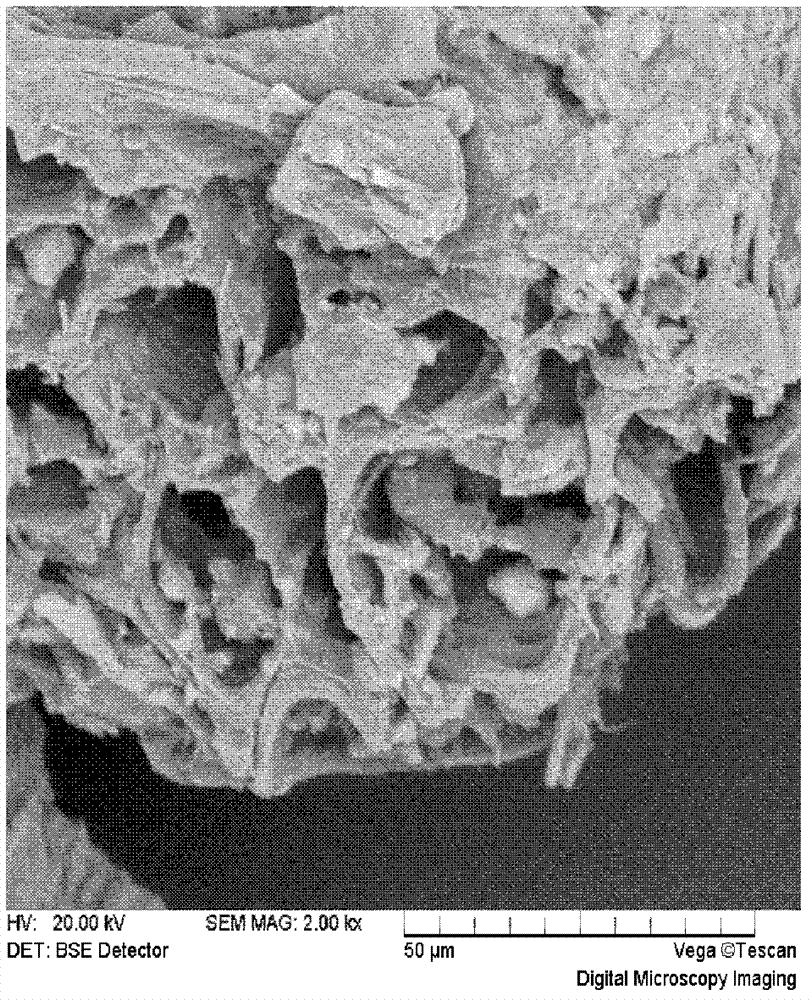 Method for extracting cellulose from tobacco waste based on water-alcohol oxidation process