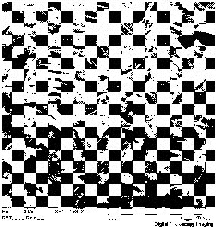 Method for extracting cellulose from tobacco waste based on water-alcohol oxidation process