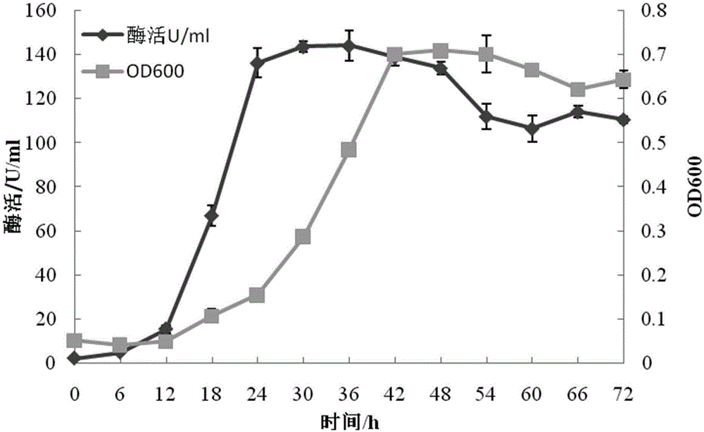 Culture medium and fermentation method for producing alginate lyase by fermentation of microvesicle bacterial genus