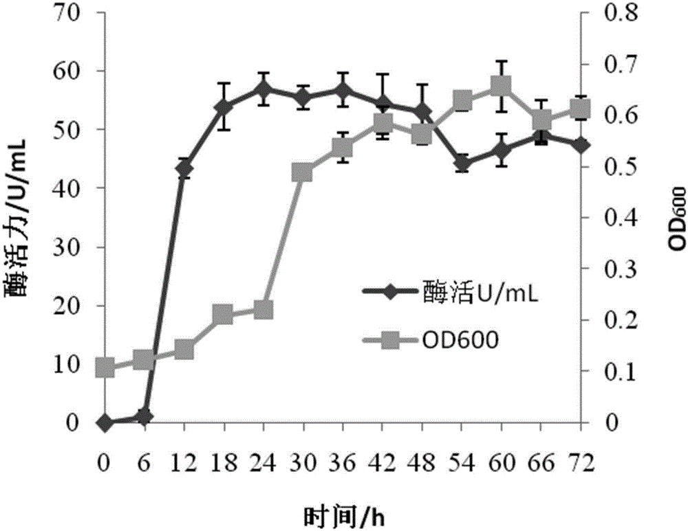 Culture medium and fermentation method for producing alginate lyase by fermentation of microvesicle bacterial genus