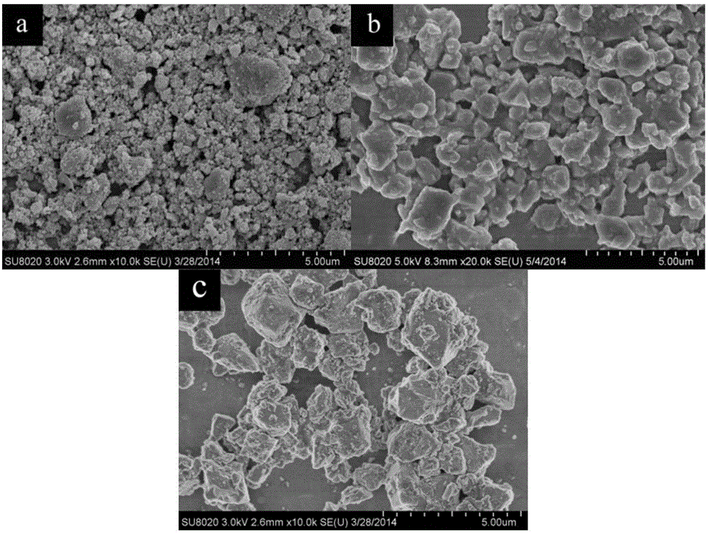 Positive electrode lead plaster of lead acid storage battery