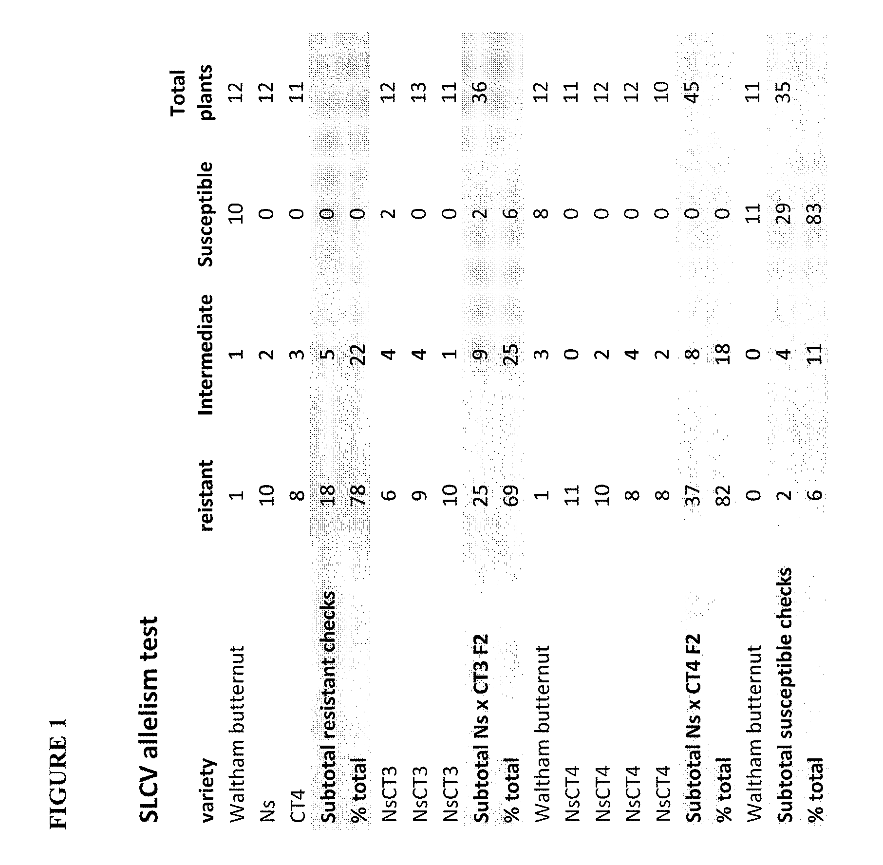 Squash leaf curl virus (SLVC) resistance in cucurbits