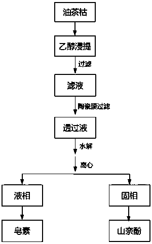 Method for extracting saponin and coproducing kaempferol from tea-oil tea cakes