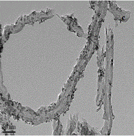 Method for adsorbing and removing phosphates from water body by using zirconium oxide modified carbon nano tubes