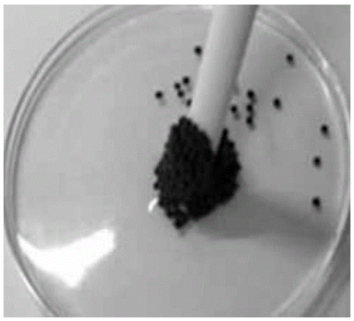 Nano heterogeneous Fenton catalyst with alginate core coated with copper/magnetic Fe3O4 and preparation method of Nano heterogeneous Fenton catalyst