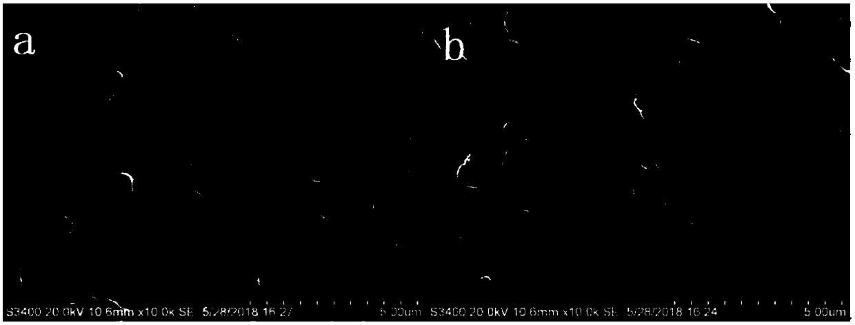 Modified cellulose acetate membrane for chiral resolution, preparation method and application thereof