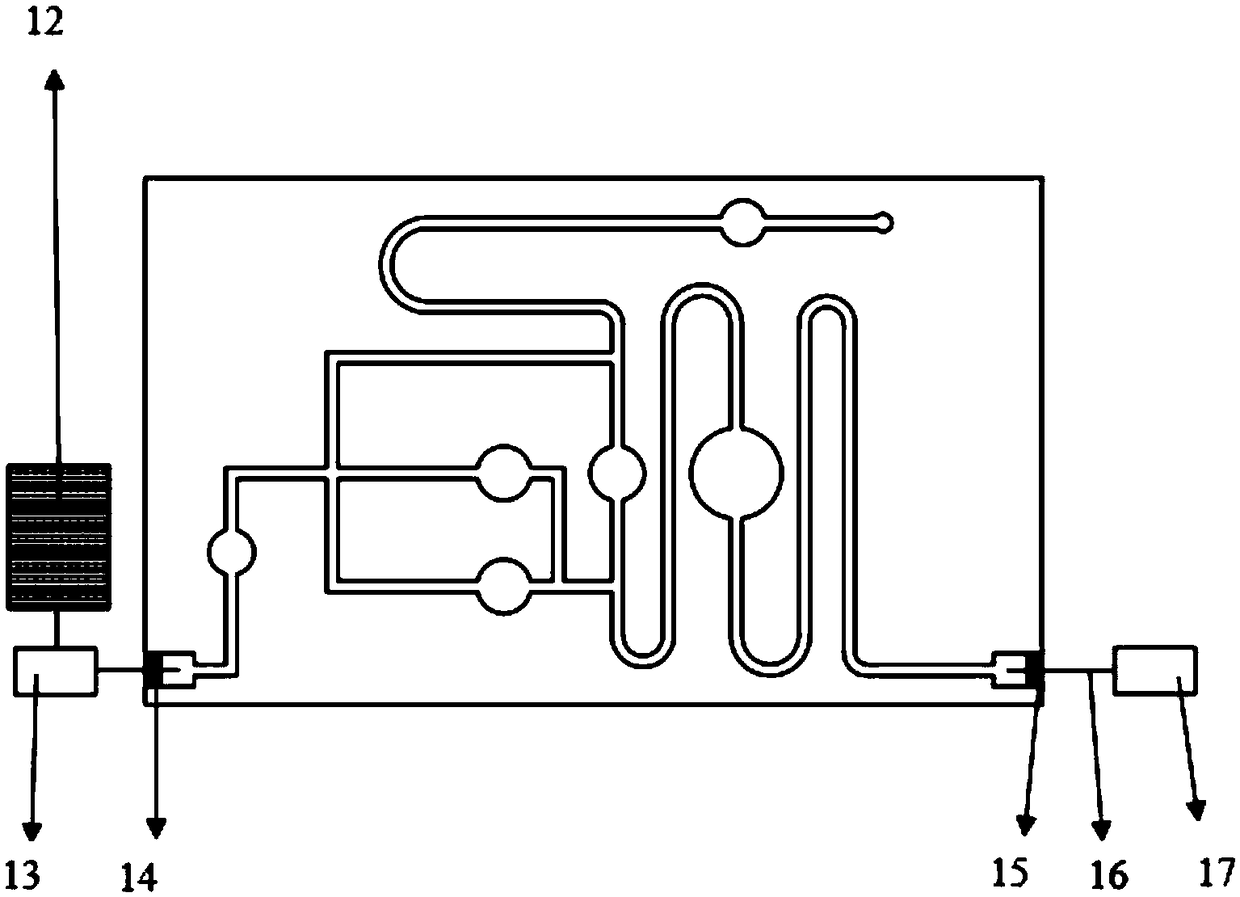 Microfludic immunodetection chip and method of cardiac troponin protein I