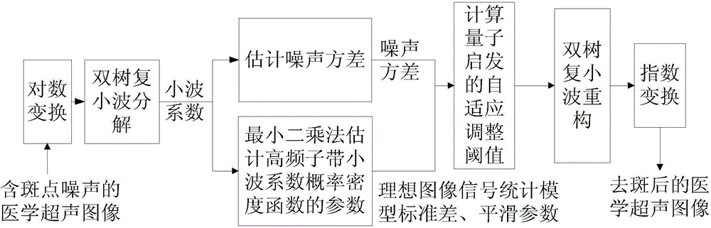 Medical ultrasound image speckle removing method through quantum inspiration