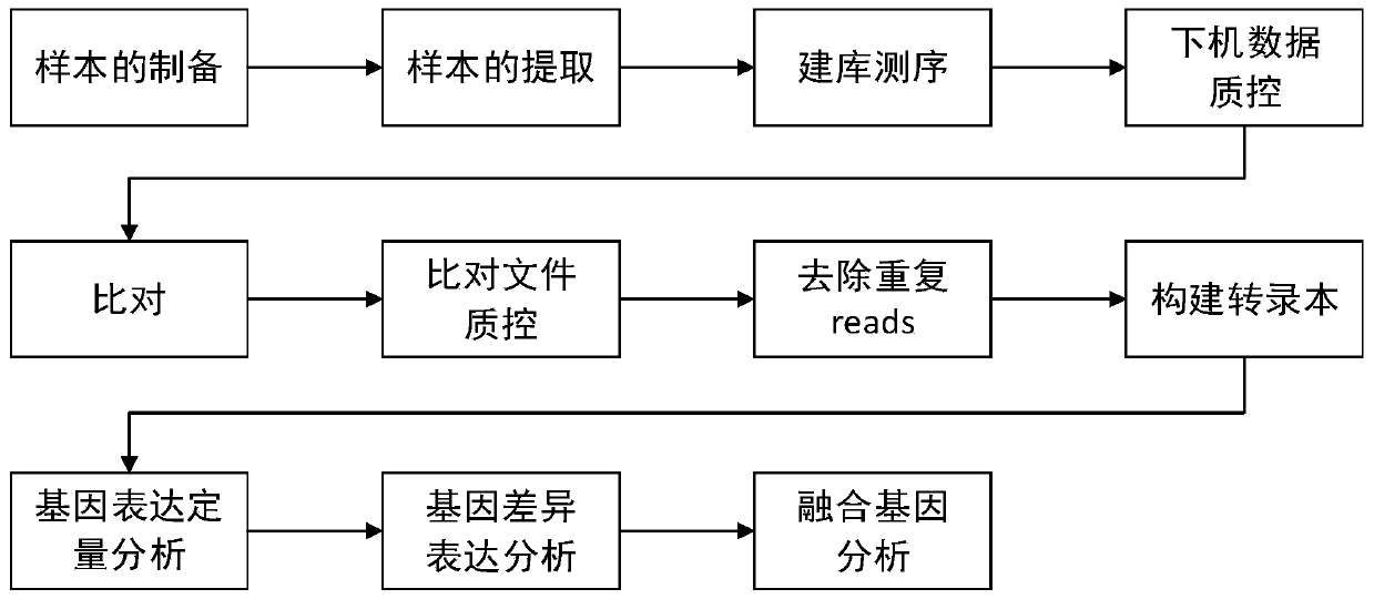 RNA analyzing method of paraffine section tissue